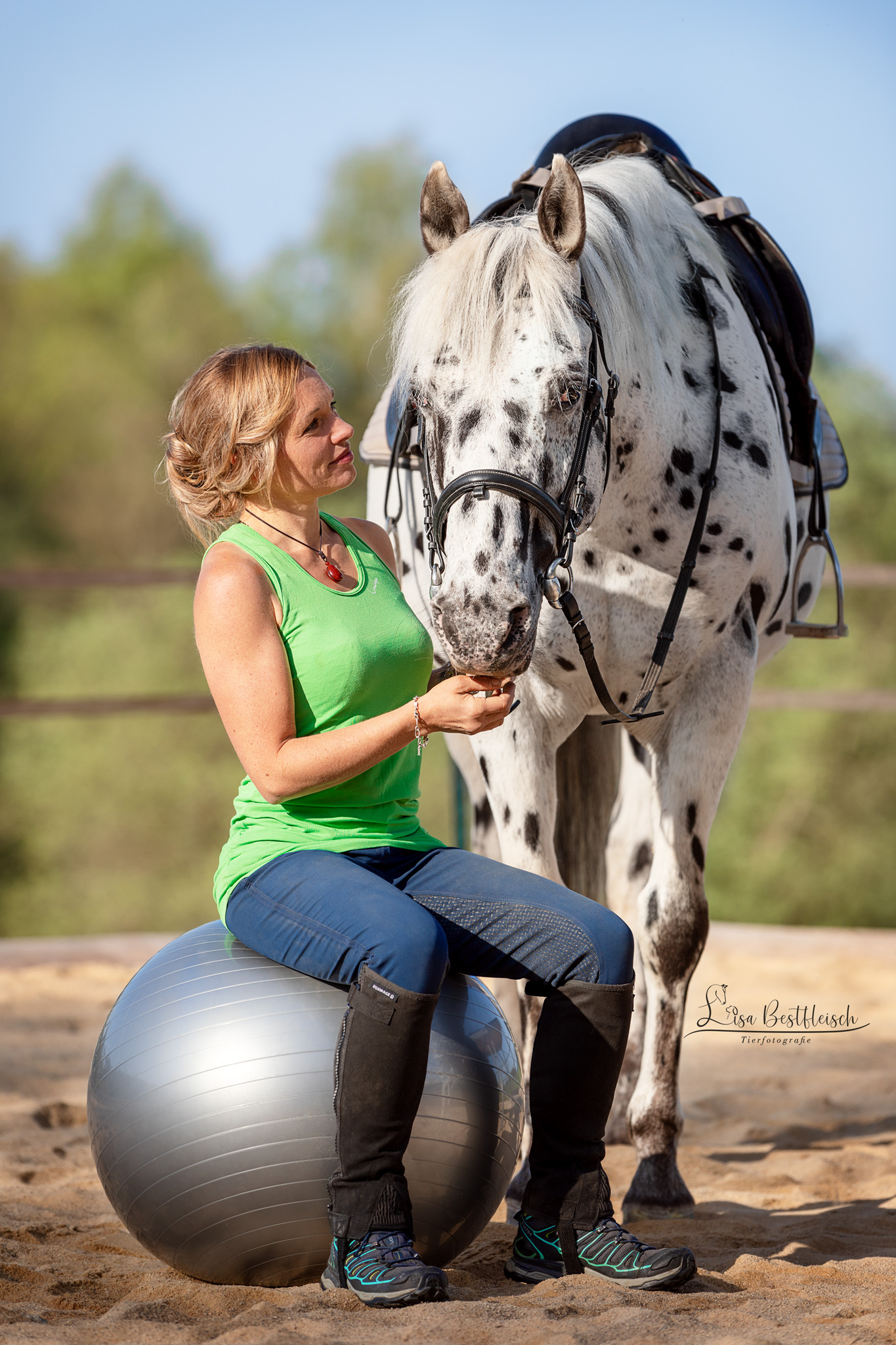 Pferdephysiotherapie Aileen Ullrich