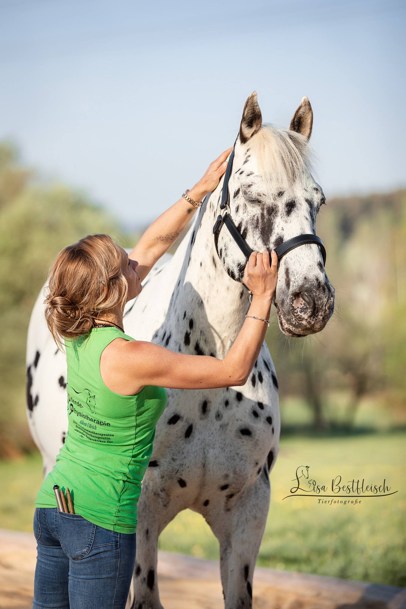 Behandlung am Tier mit der Pferdephysiotherapie Aileen Ullrich