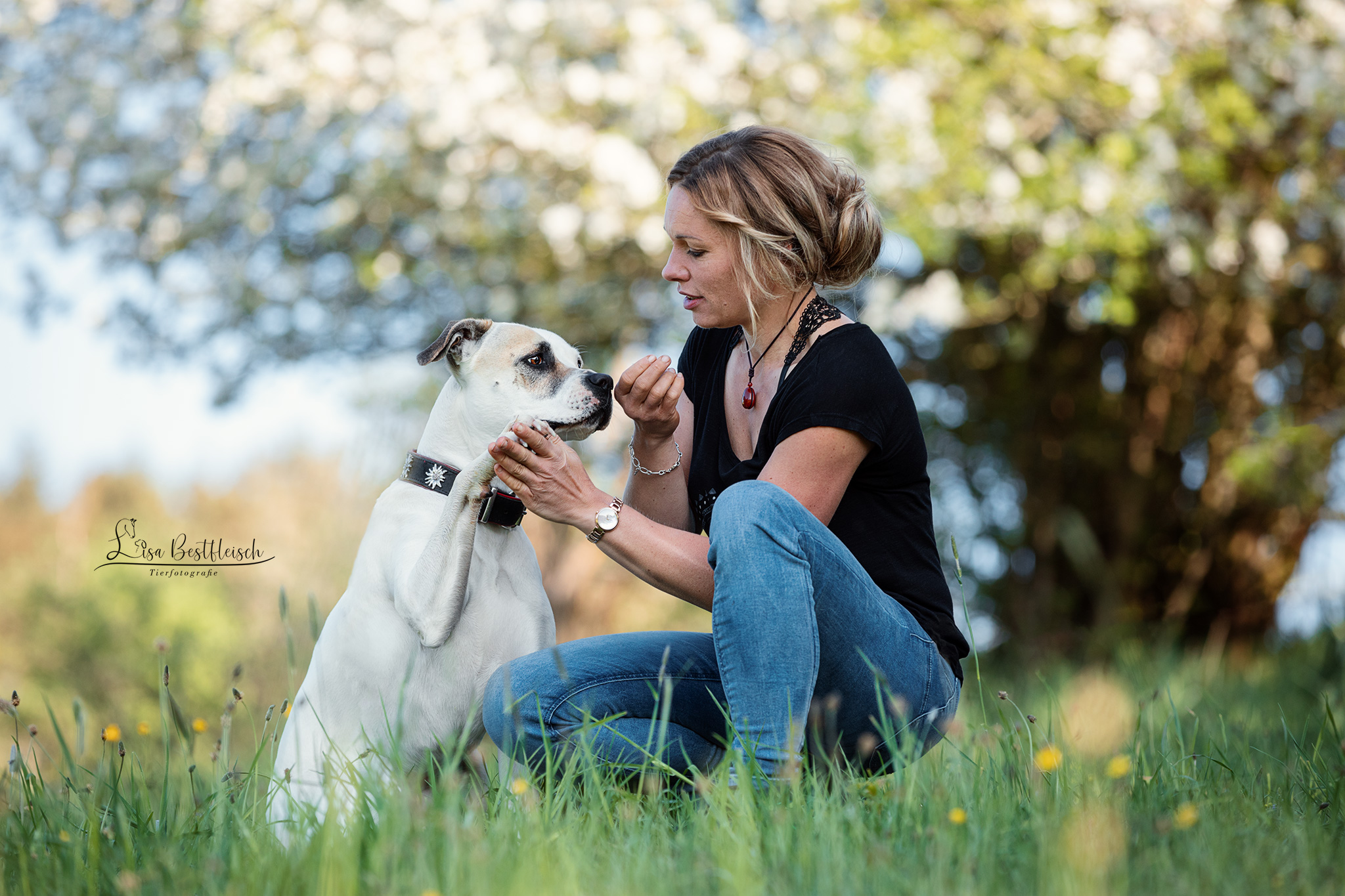Behandlung am Tier mit der Pferdephysiotherapie Aileen Ullrich